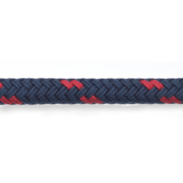 PALMA ELASTIC